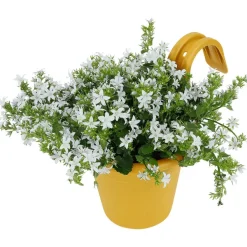 Clearance Balkonbloempot Bloempotten