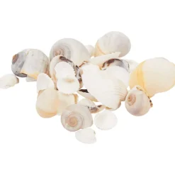 Fashion Decoschelpen Woonaccessoires