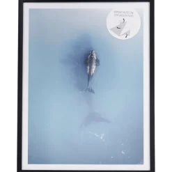 Sale Fotoframe Met Posters Fotolijstjes