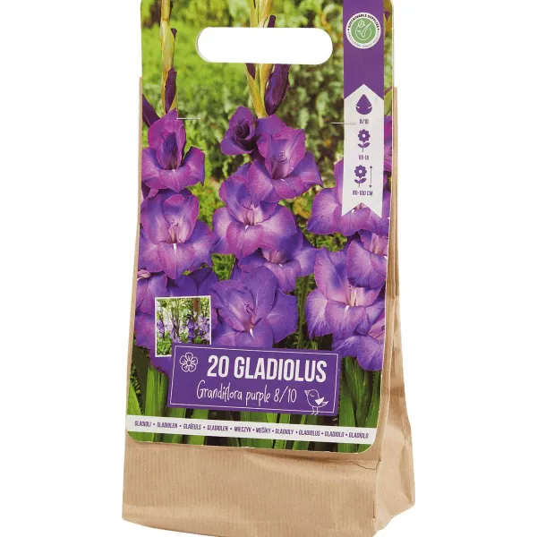 Hot Gladiolen Bloembollen Zaaien & Planten
