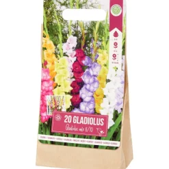 Hot Gladiolen Bloembollen Zaaien & Planten