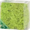 New Home Accents Decoratief Mos Seizoensdecoratie