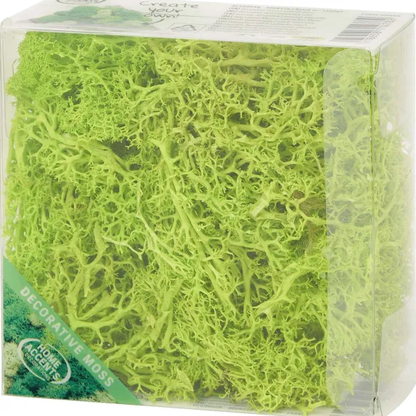New Home Accents Decoratief Mos Seizoensdecoratie