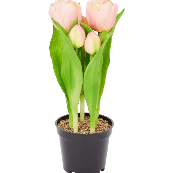 Fashion Home Accents Kunsttulpen In Pot Kunstplanten & -Bloemen