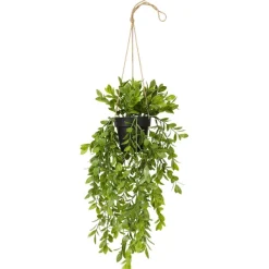 Discount Kunsthangplant Kunstplanten & -Bloemen