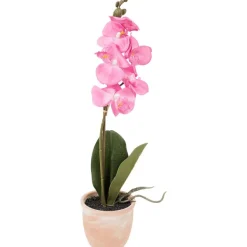 Best Kunstorchidee In Pot Kunstplanten & -Bloemen
