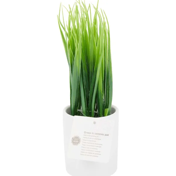 Fashion Kunstplant In Pot Kunstplanten & -Bloemen