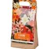 New Lelie Bloembollen Zaaien & Planten