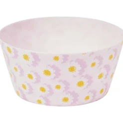 New Schaal Met Servies