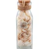 Discount Schelpen In Glazen Fles Woonaccessoires