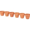 Best Terracotta Bloempotjes Bloempotten